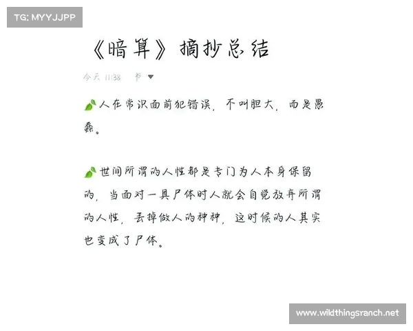 《从穿越到自我修养:解读《绍宋》中的历史与个体命运交织》 《从穿越到自我修养:解读《绍宋》中的历史与个体命运交织》