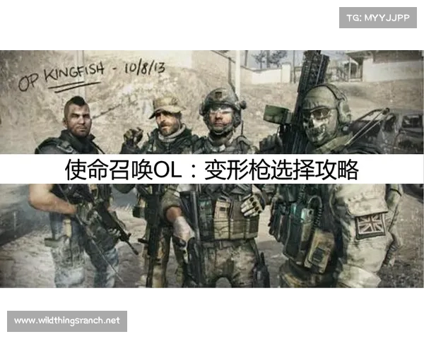 《离群哨兵 Rogue Sentry:孤独守望者的使命与挑战》 《离群哨兵 Rogue Sentry:孤独守望者的使命与挑战》
