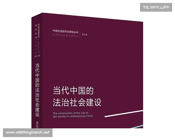 《迷你法律:执法长官在法治建设中的创新与挑战》 《迷你法律:执法长官在法治建设中的创新与挑战》