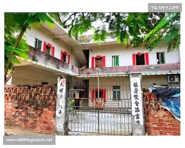 全红婵老家建别墅原计划2层半 网友建议改3层半超十米带园林设计 全红婵老家建别墅原计划2层半 网友建议改3层半超十米带园林设计