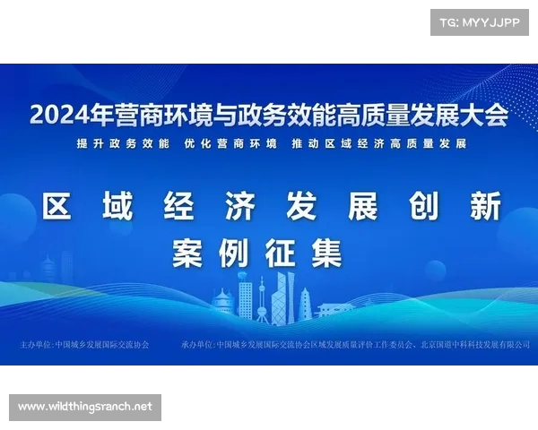 加速营商环境创新优化推动经济高质量发展的新路径与实践 加速营商环境创新优化推动经济高质量发展的新路径与实践
